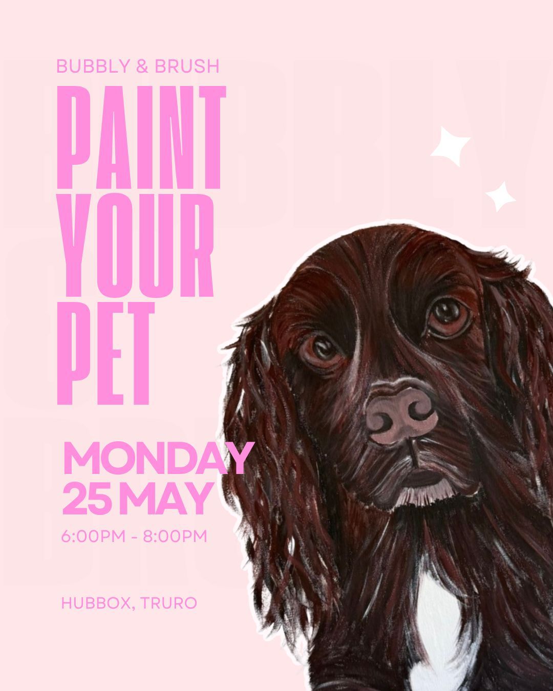 Paint Your Pet 25/05 HUBBOX TRURO